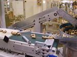 M.T. ZANETTI - FANUC - 6 Axis Loading and Unloading Robot for Transfer Machines Robotized Automation Applications 